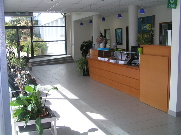 Rezeption mit Empfangstresen, Topfpflanzen, hängenden elektrischen Lampen, an der Wand angebrachten Namensschildern und einer Glastür, die einen unordentlichen Schreibtisch in einem warm beleuchteten Raum zeigt.