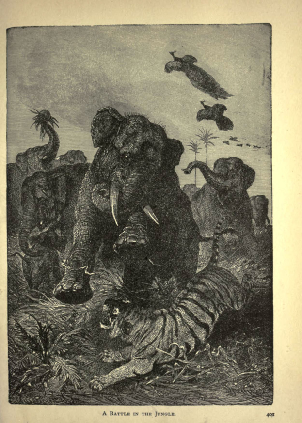 Ein Elefant und ein Tiger kämpfen im Dschungel, umgeben von Bäumen und Vögeln, die am Himmel fliegen, mit Text am unteren Bildrand.