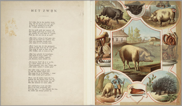 Offenes Buch mit Abbildungen von Schweinen, Hühnern und anderen Bauernhoftieren neben Text auf der linken Seite.