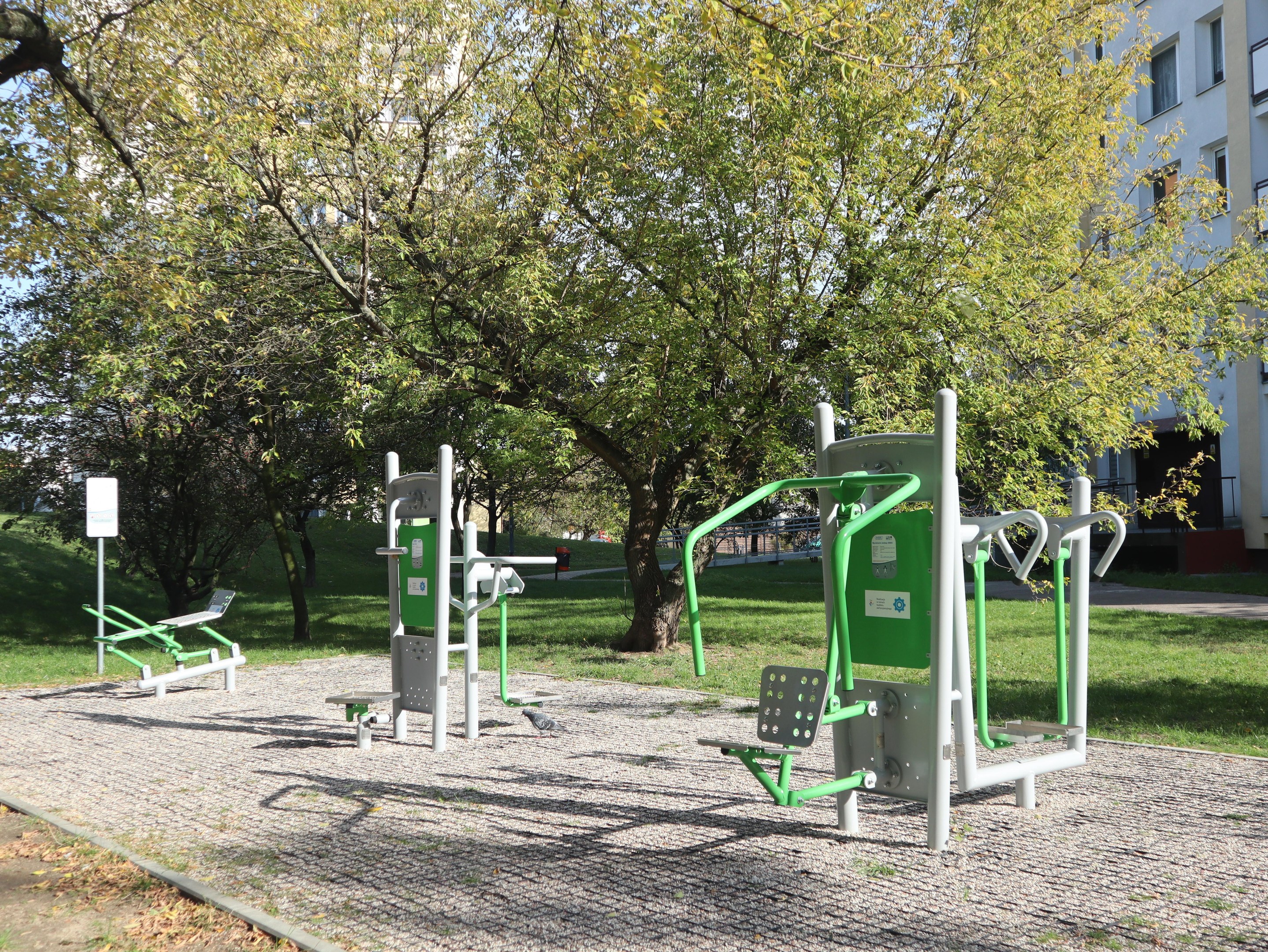 Outdoor-Park mit Fitnessgeräten wie einer Bank und einem Baum, umgeben von grünem Gras, einem Gebäude mit Fenstern im Hintergrund und einem klaren blauen Himmel.