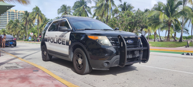 Polizeiauto auf dem Seitenstreifen geparkt mit Menschen, Fahrrädern, Gras, Bäumen, Gebäuden und einem klaren blauen Himmel im Hintergrund.