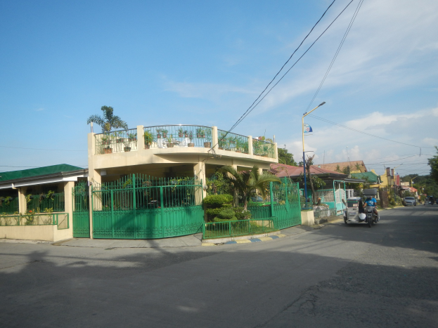 Eine Straße mit fahrenden Fahrzeugen, ein grünes Gebäude mit einem passenden Zaun, Geländern, Vegetation, Bäumen, Strommasten, Straßenlaternen und Überlandleitungen, unter einem bewölkten Himmel.