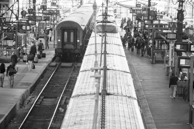 Voller Bahnsteig mit mehreren Zügen auf den Gleisen und vielen Menschen auf dem Bahnsteig.