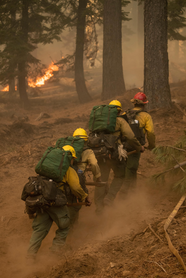Eine Gruppe von Feuerwehrleuten in Helmen und Rucksöcken geht durch einen Wald, mit einem Feuer in der Ferne.