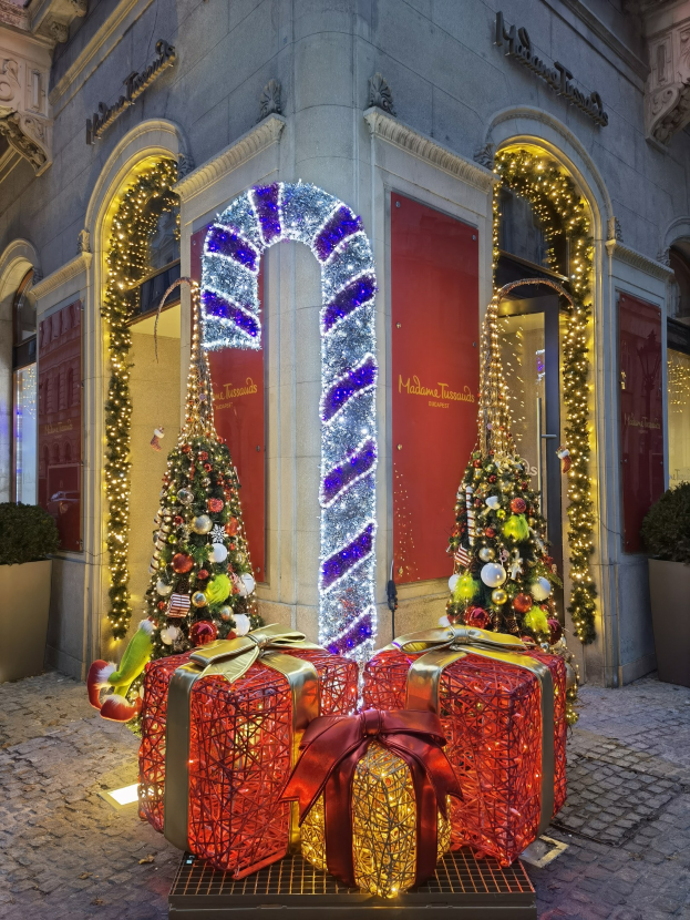 Ein Gebäude mit festlicher Weihnachtsdekoration, das zwei geschmückte Weihnachtsbäume mit Lichtern, Geschenkschachteln auf dem Boden, eine Tür, Fenster und Topfpflanzen zeigt.