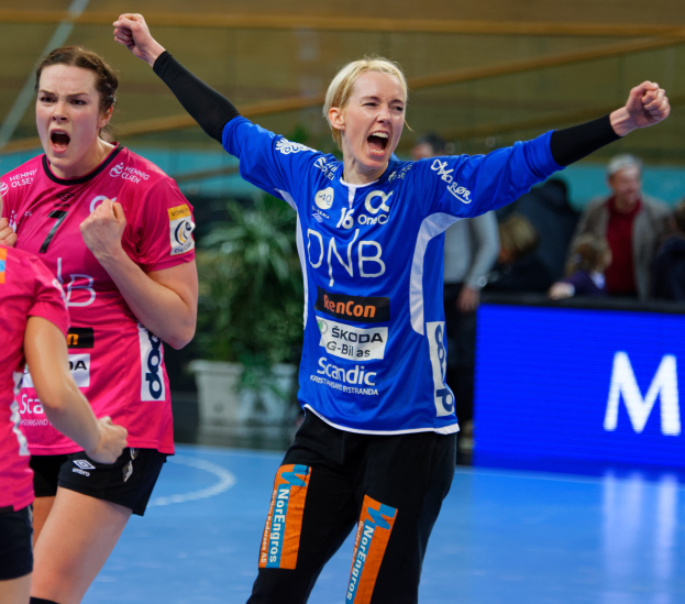 Eine Gruppe von Frauen, die auf einem Handballfeld spielen, mit einem unscharfen Hintergrund, einem Banner, einer Topfpflanze und ein paar Zuschauern auf den Tribünen.