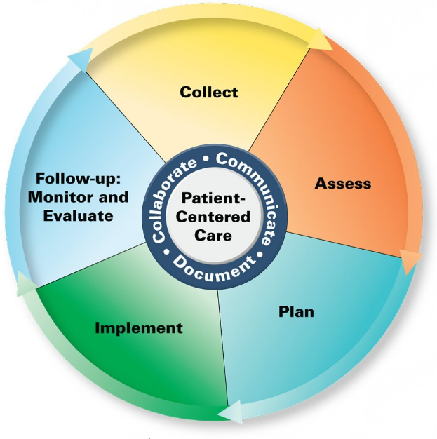 Ein Kreisdiagramm mit 'patientenorientierter Pflege' in der Mitte, unterteilt in vier farbige Abschnitte, jeder mit einer Beschreibung der Pflege, die er bietet.
